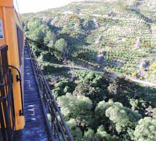Mitder Taileri Railway durch die Natur Neuseelands