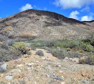 Impressionen aus dem Vega de Rio Palmas