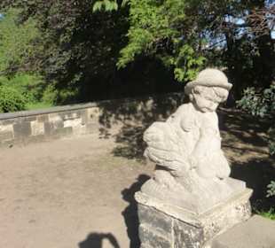 Im Dresdner Rosengarten an der Elbe