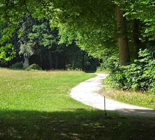 Rundgang durch den Bamberger Hain