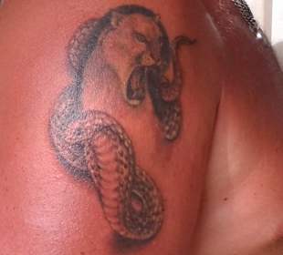 CT`S Inspiration......Phantastic!!!!!
