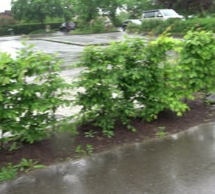 Bad Waldsee Skateplatz