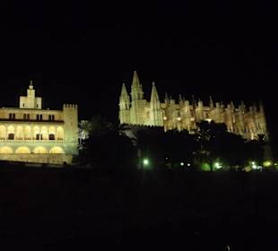 Kathedrale bei Nacht