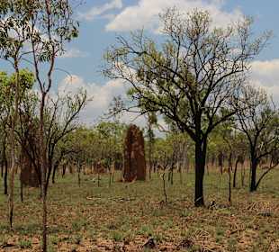 Kakadu NP