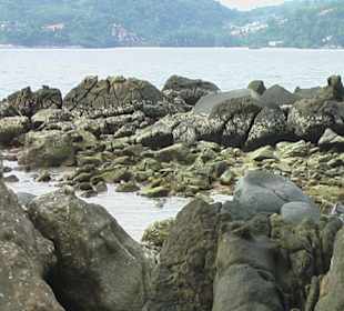 Viele davorgelagerte Steine 
