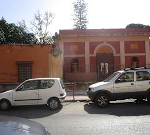 Botanischer Garten Palermo