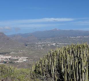 Blick zum Teide