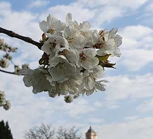Kurpark Bad Birnbach