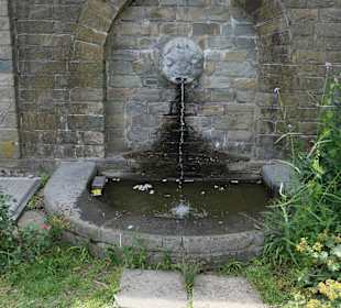 Spaziergang durch den Aachener Stadtgarten