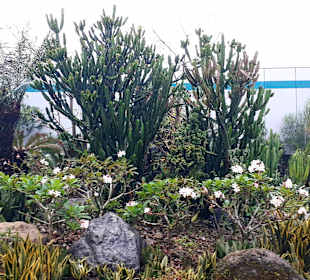 Kaktusgarten - Raucherzone