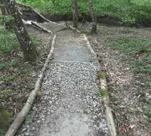 Barfußpfad Firstwald