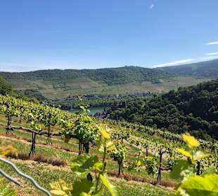 Wandern Oberheimbach