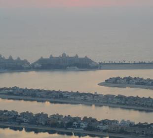 The View of the Palm