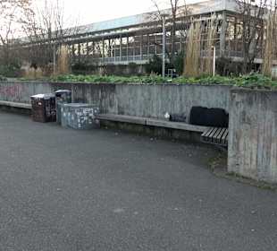 Wasserspiele Stadtgarten