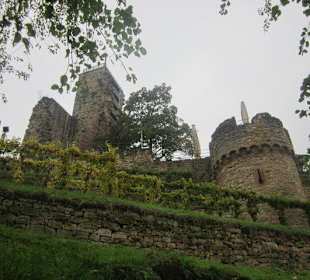 Ruine Wachtenburg