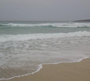 Meer