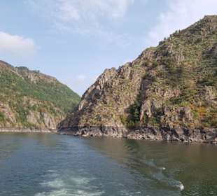 Aussichten vom Schiff aus 