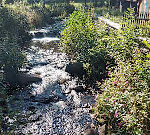 Wildpark Osterzgebirge