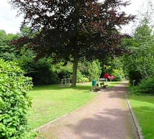 Hochsommer im Kurpark Bruchhausen-Vilsen