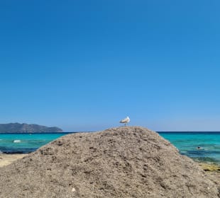 Strand Cala Millor