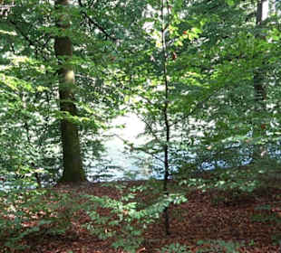 Neuer See