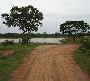 Mit dem Jeep durch den Park
