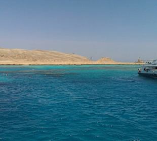 Blick auf eines der Schnorchelriffe!