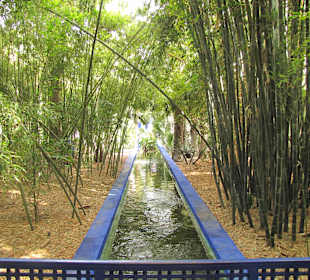 Jardin Majorelle