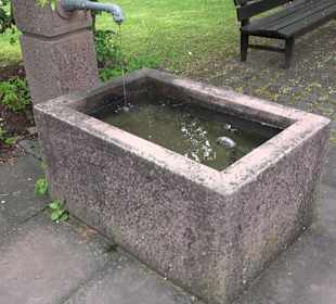 Dorfbrunnen Grüntal