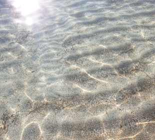 Strand Playa/Platja de Muro