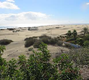 Blick über die Dünen von der Promenade