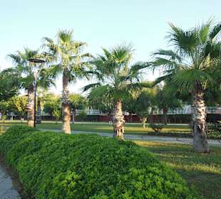 Promenade schön grün