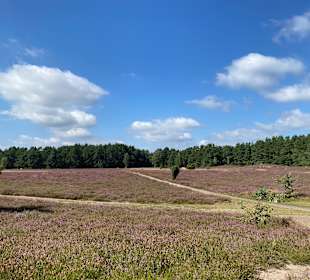 Wandern Bad Bevensen