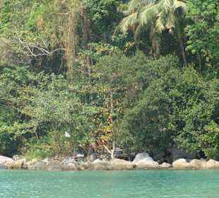 Passeggiata mattutina fino  alla fine della baia