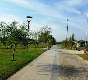 Inspirationen an d.Strandprom.entlang Nov.2010