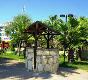 Tolle Schmuckstücke am Strand