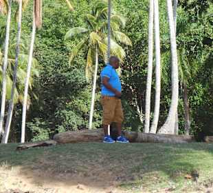 Playa Moron,Fahrer Patric