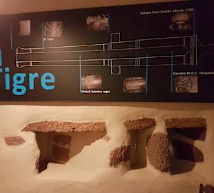 Ausstellung im Museum