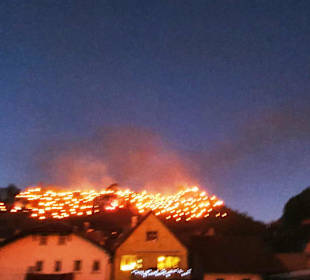 Co2 naja damit stirbt das Ganze