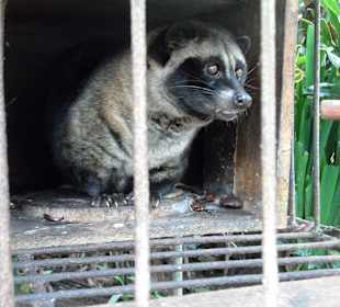 ...ich bringe euch den leckeren Kaffee