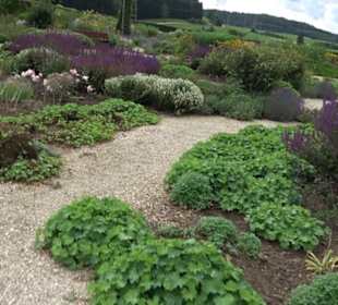 ALB-GOLD Naturgarten