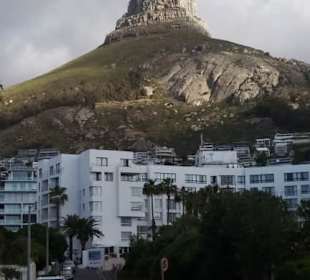Lion's Head 1