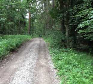 Wanderweg - Alter Steinbruch Pfaffenberg Runde
