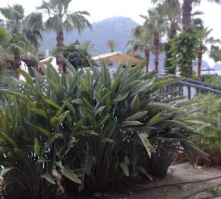 Gartenanlage Alanya