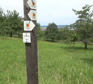 Premiumspazierweg Früchtetrauf-Leisawegle