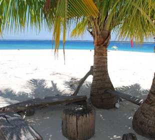Paradise Island