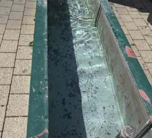 Haupt- und Landgestüt Marbach