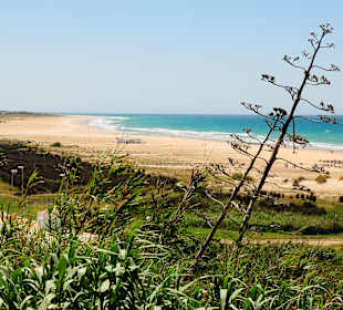 Strand Conil de la Frontera