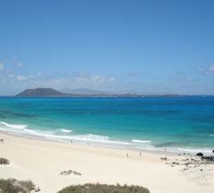 Playa de Corralejo