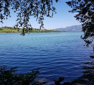 Weißensee